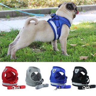 pug dog collars