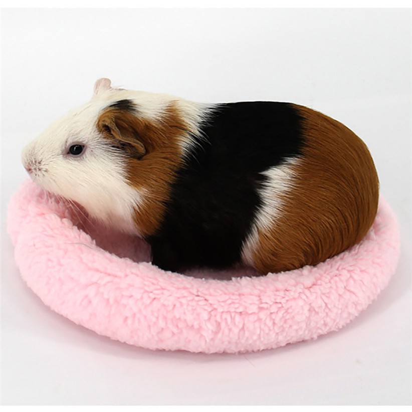 edible guinea pig house