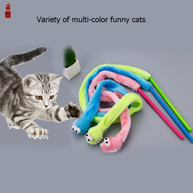 cat teaser toys