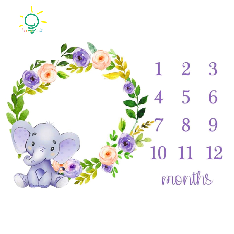 baby milestone blanket personalized