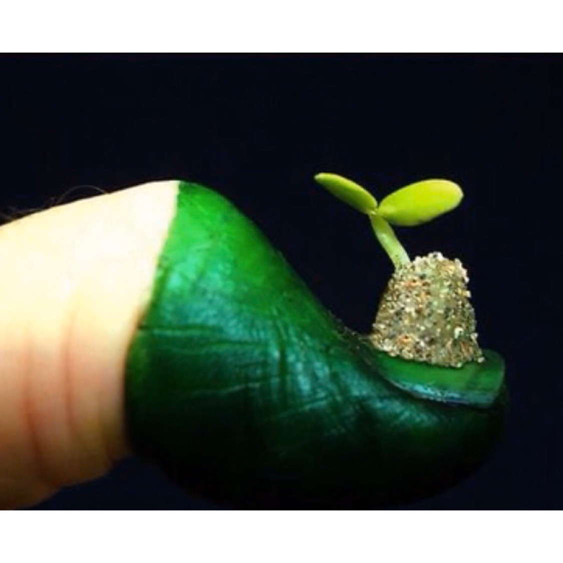 Зеленая болезнь это что. Зеленая болезнь это что. Срачка зелёная что заболезнь. Заболевание это определение. Зеленая болезнь это что.