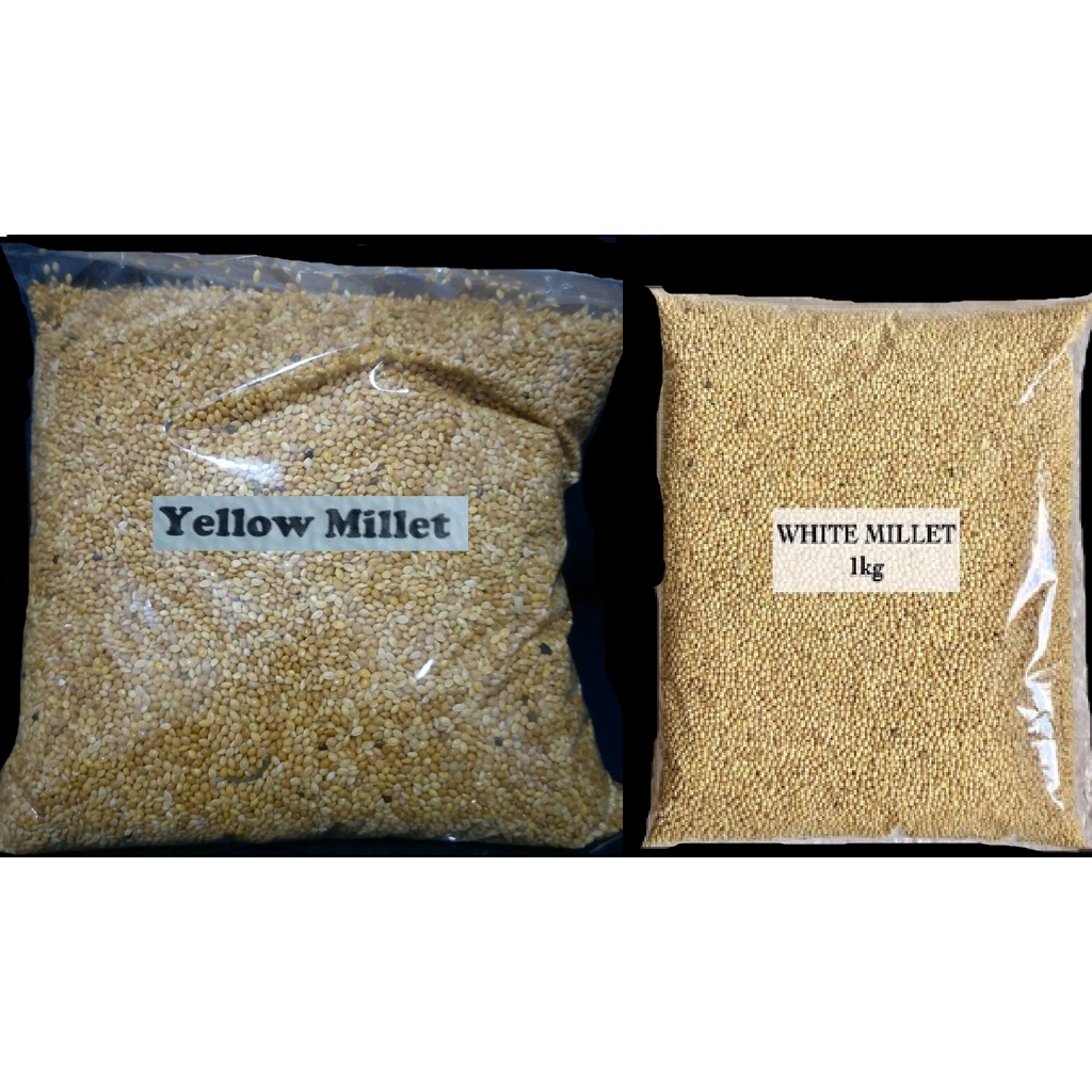 Yellow Millet White Millet Bird Seeds 1 Kg Shopee Philippines