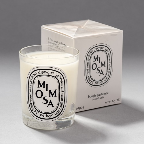Diptyque Mimosa scented candle, 190g | Shopee Philippines