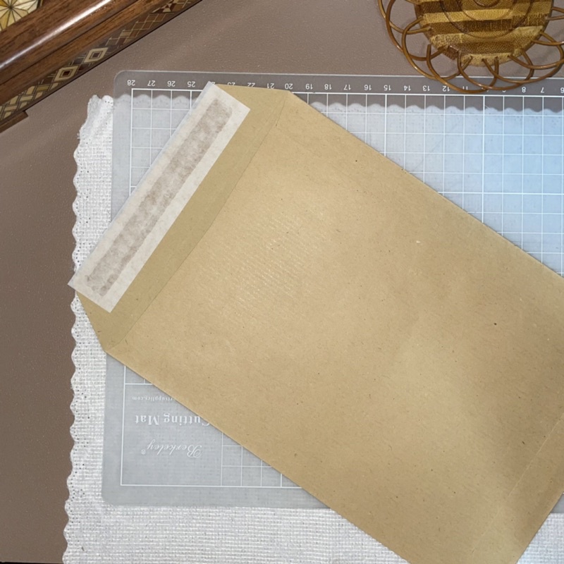 10 PIECES kraft envelope [ BEST FOR POSTCARDS & BINDER COVER/FILLERS