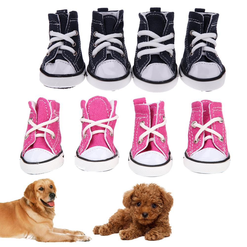 dog footwear