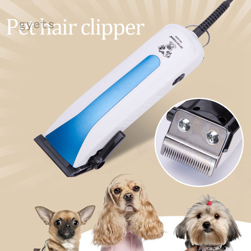 best dog clippers for chihuahua