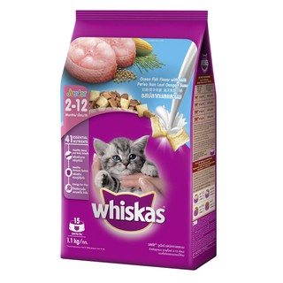 Whiskas Dry Jr. Ocean Fish Milky Pockets 1.1kg Free Whiskas Pouch Kitten Mackerel 80g #3