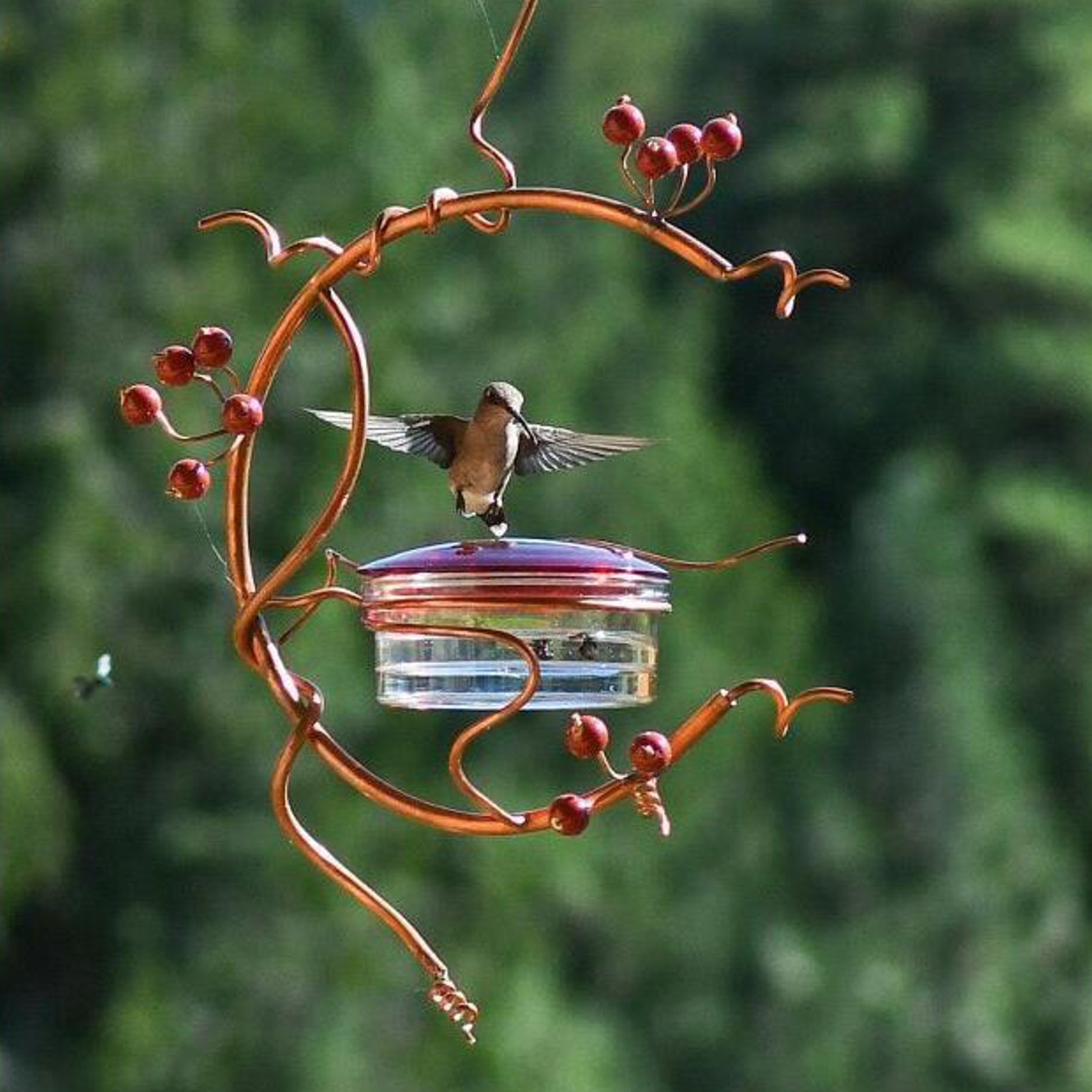 Hz Hanging Red Berries Hummingbird Feeder Metal Water Feeder For Balcony Outdoor Garden Shopee Philippines