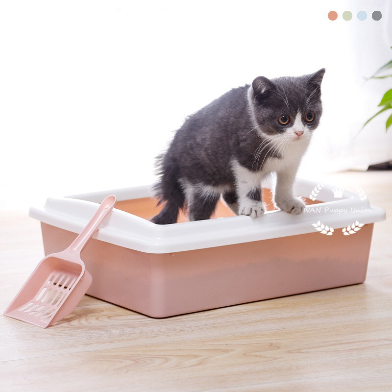 [Pet Shop]Cat Kitten Litter Box w/ Scoop Shopee Philippines