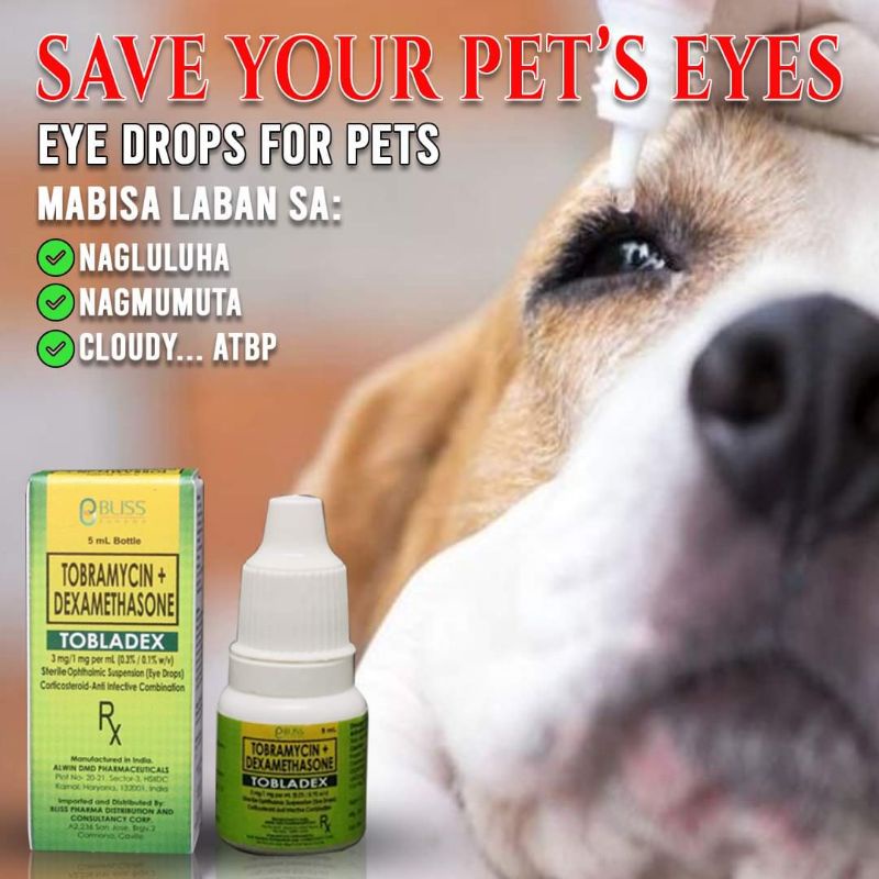 TOBLADEX Tobramycin + Dexamethasone Eye Drops for Pets Dogs Cats Birds