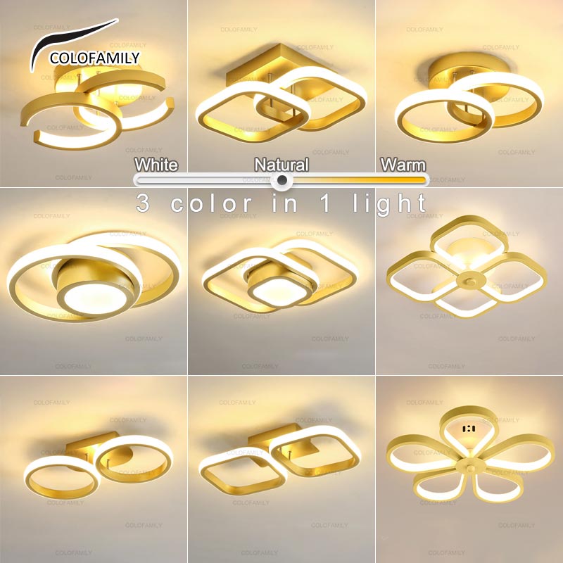 Color Led Ceiling Light Golden Modern Minimalist Decoration Light Chandelier Pendant Light