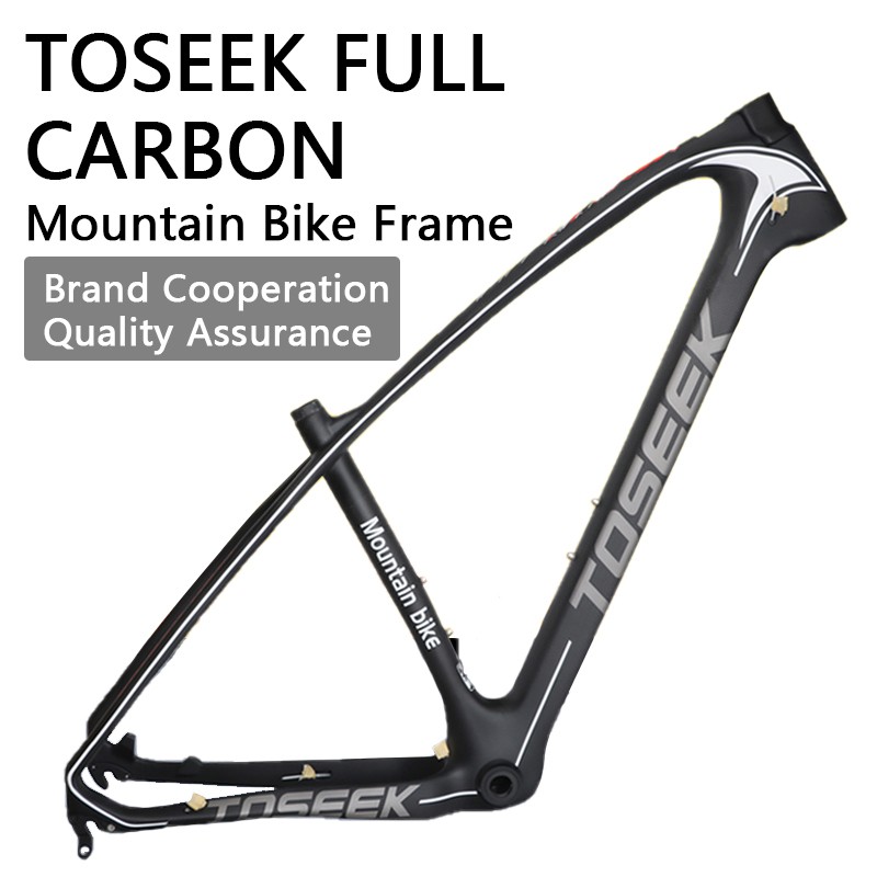 frame bike carbon