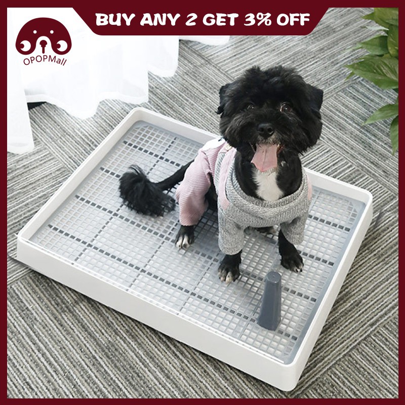 Can You Litter Box Train A Big Dog