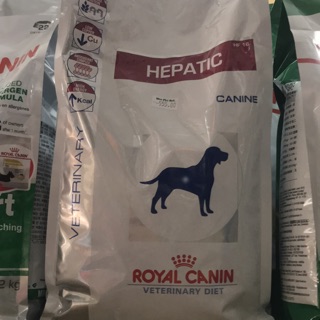 hepatic royal canin dog