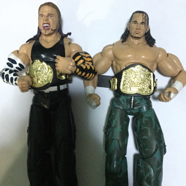 wwe hardy boyz figures