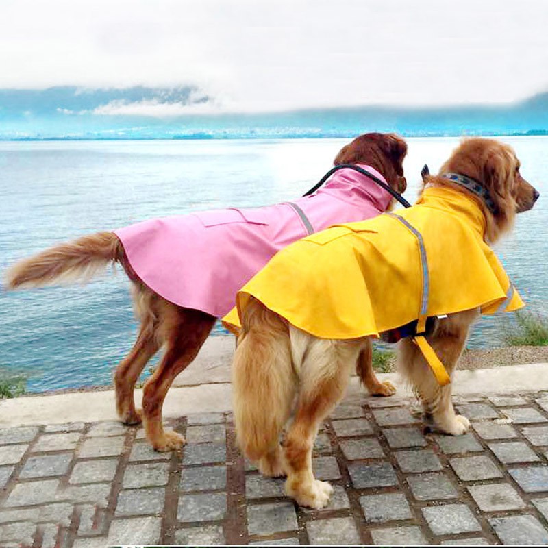 rain dog coats