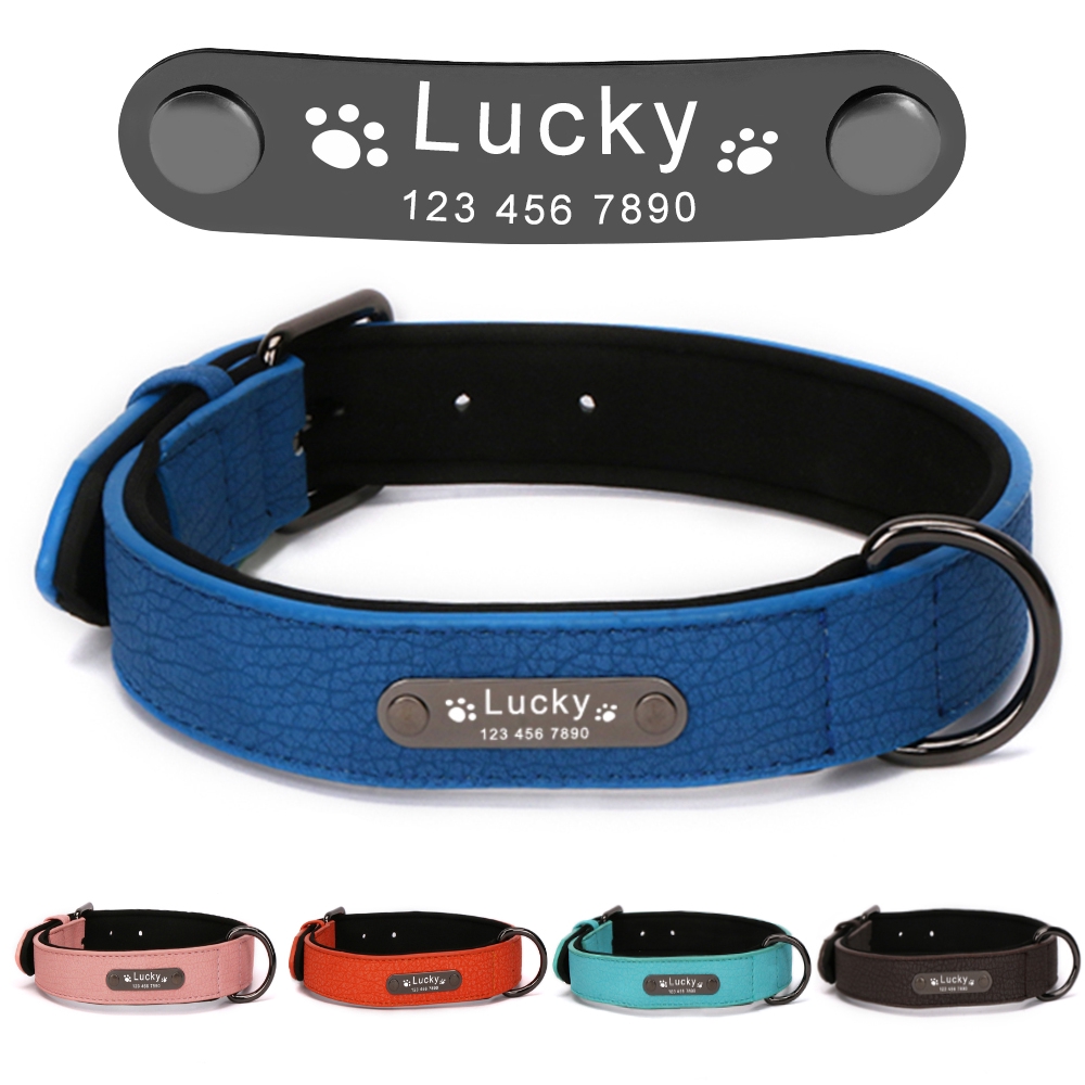 personalized dog collars and leashes