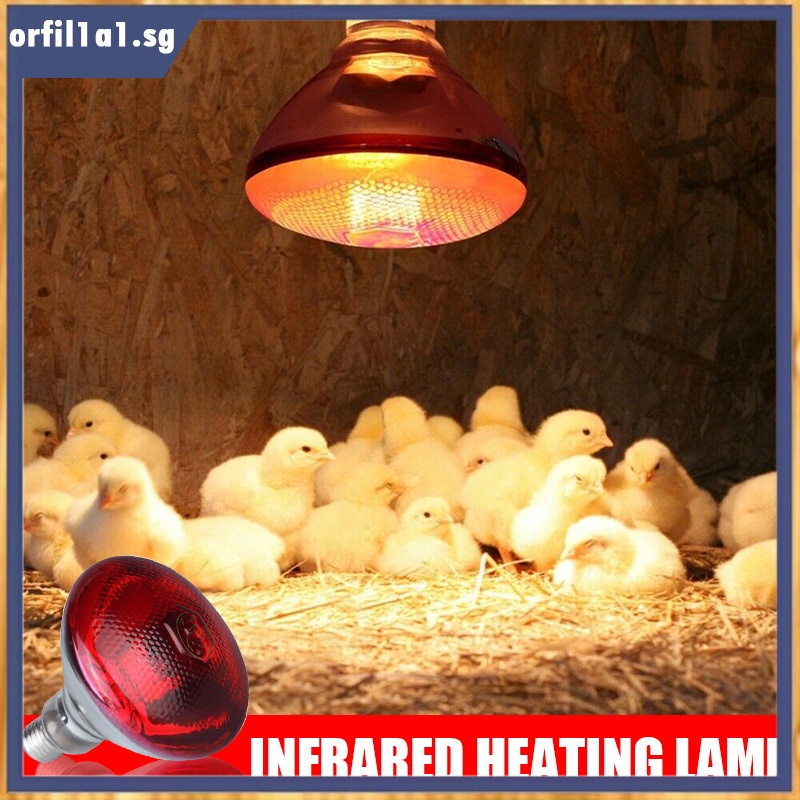 240V Infra Red Heat Lamp Poultry Brooder Chicks Waterproof Hatching