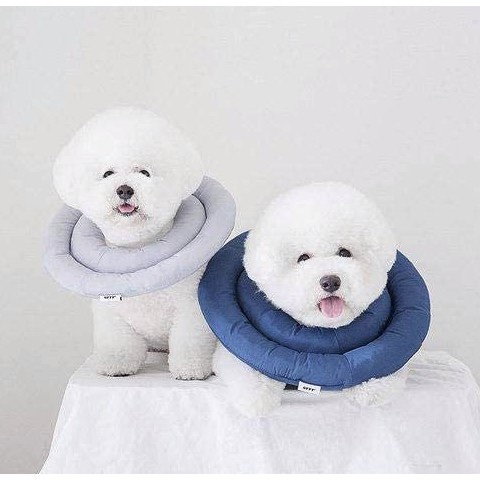 comfy cone pet recovery collar