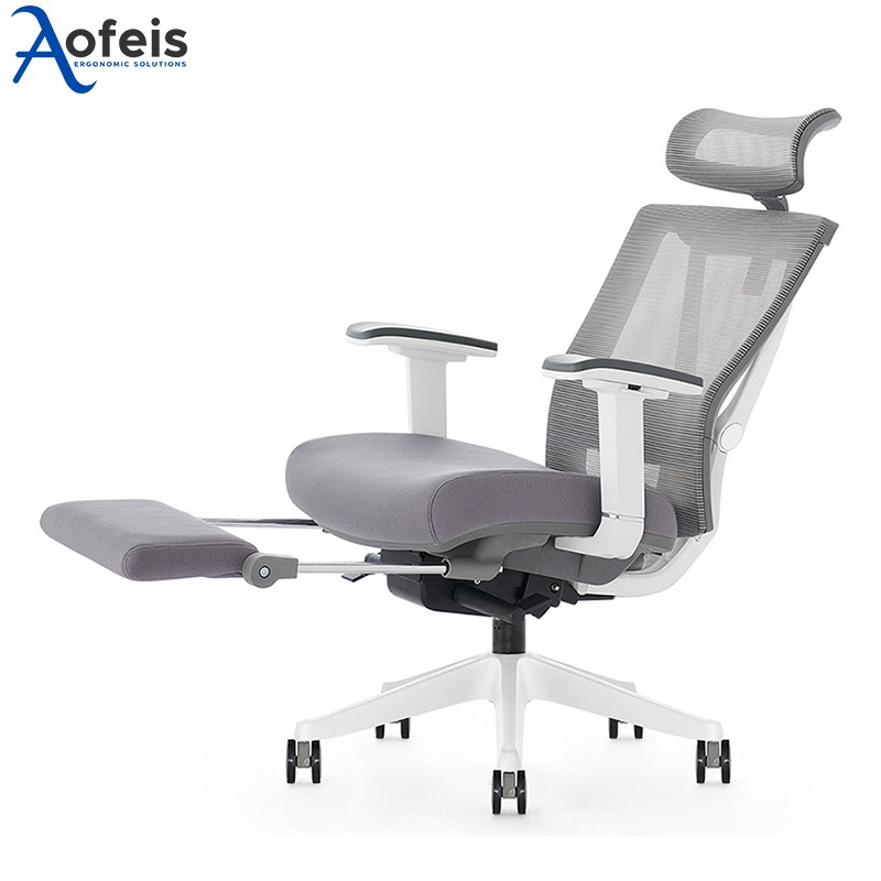 Aofeis Ergo ACAL ErgoChair Alpha Ergonomic Office Computer Chair