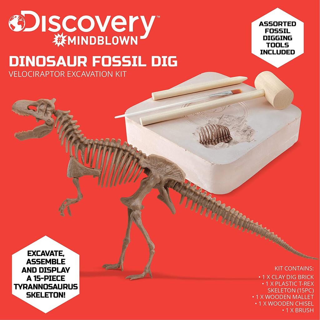 Real Fossil Bricks Dig Kit 12 Models Chisel Brushes Learning Cards Display Box 