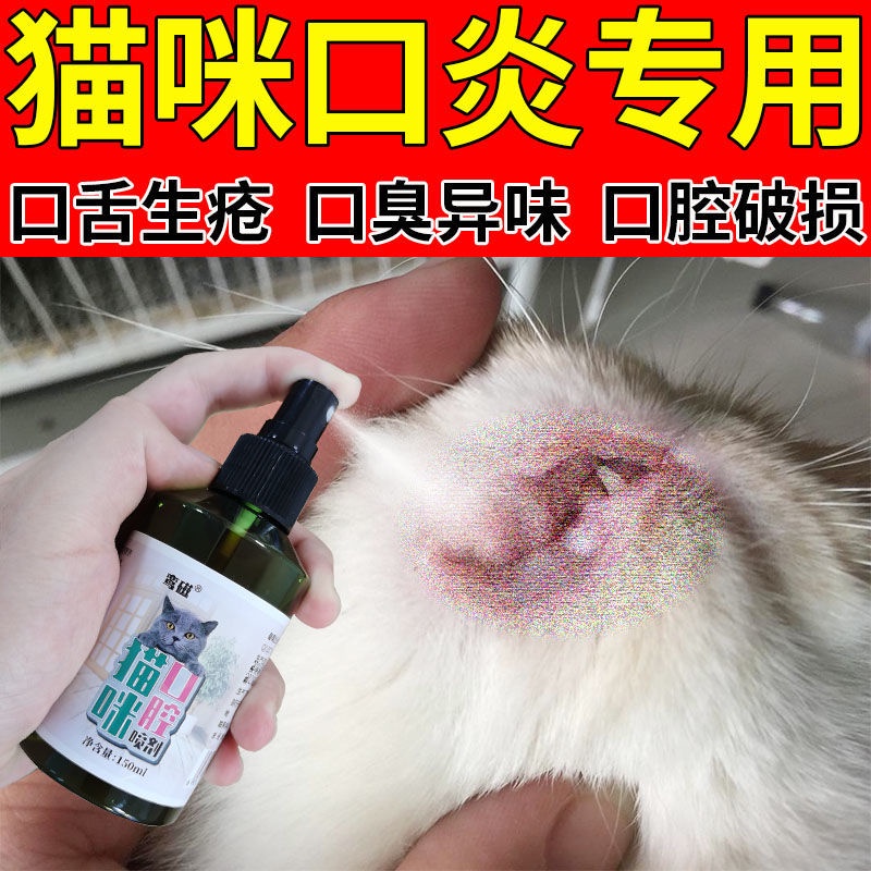 Cat stomatitis spray, cat mouth stomatitis slobber, breath, gingival ...