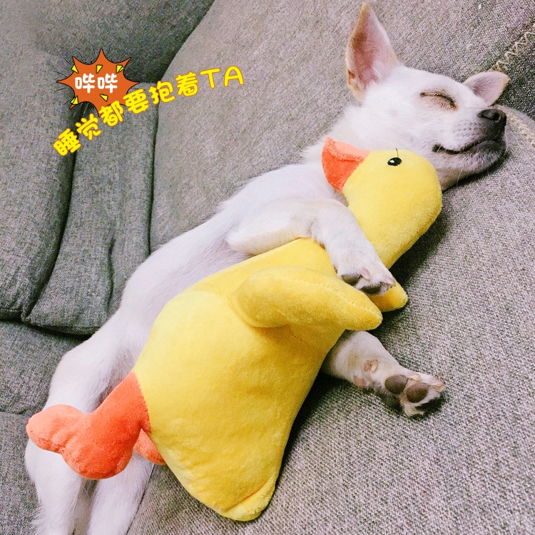 duck teddy bear