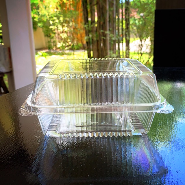 Food Cake Pastry Clamshell Tray Box Container L500 Plastic Container