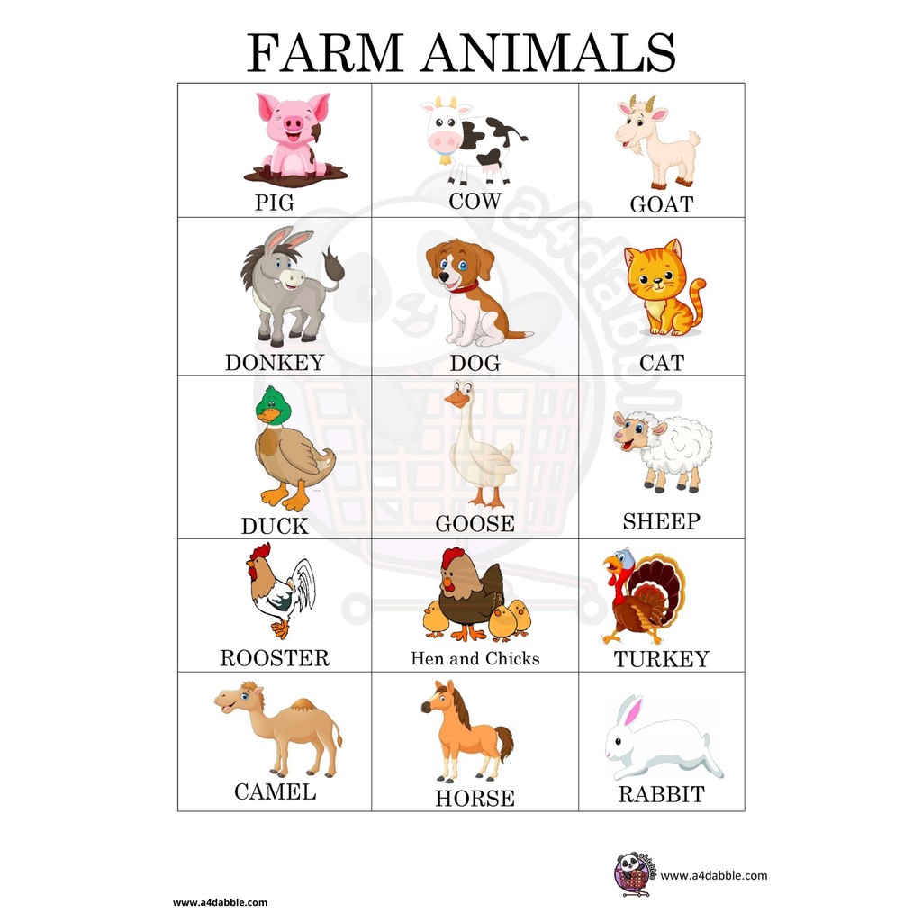 Educational Chart for Kids Laminated A4 Size Alphabet, Numbers, Body parts  | Shopee Philippines