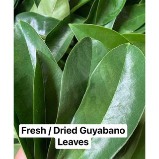 Miracle Guyabano Leaves Fresh Shopee Philippines