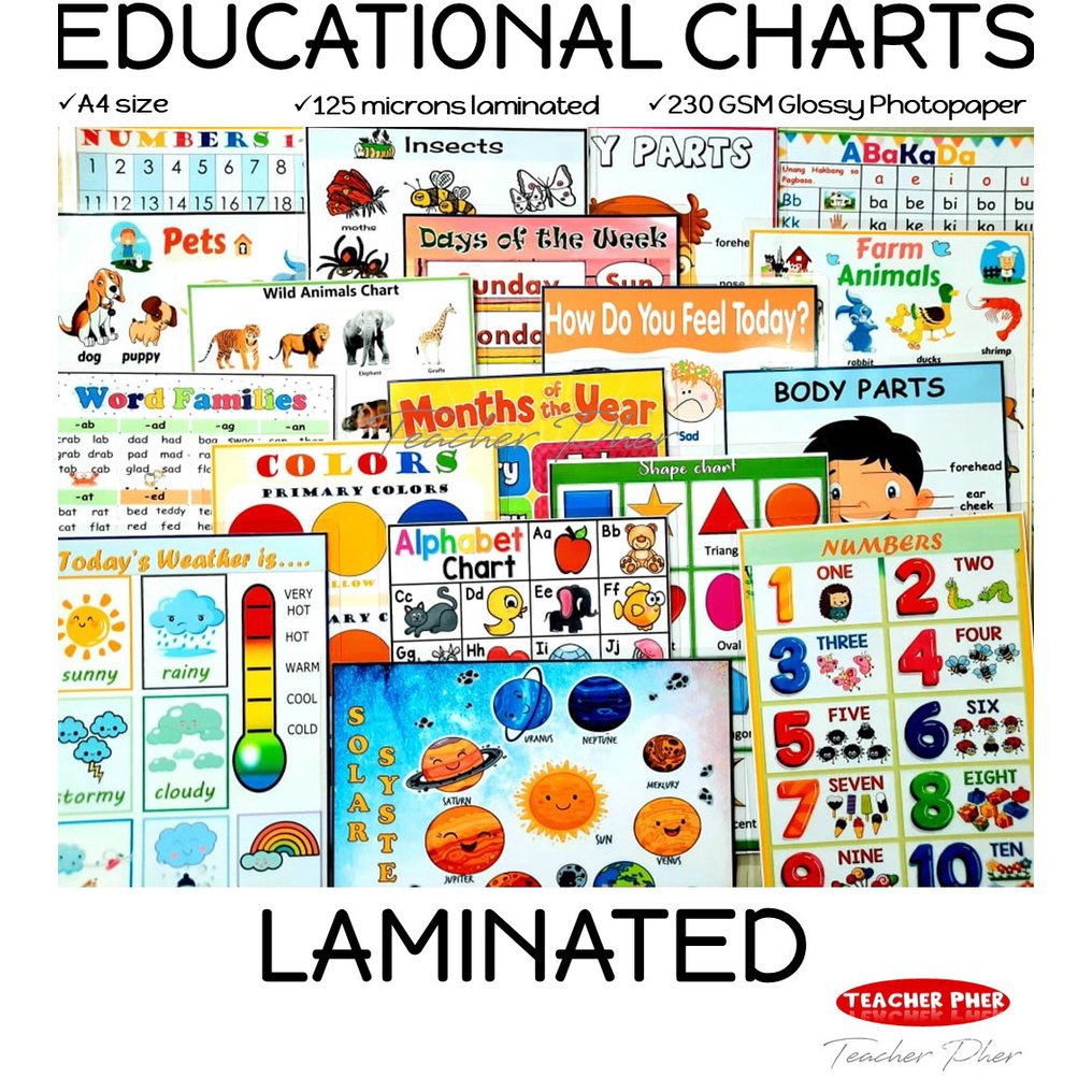 A4 Laminated Educational Wall Charts For Kids Teacher - vrogue.co