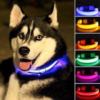 Nylon LED Pet ,Night Safety Flashing Glow In The Dark Dog Leash,Dogs Luminous Fluorescent Collars Pet Supplies