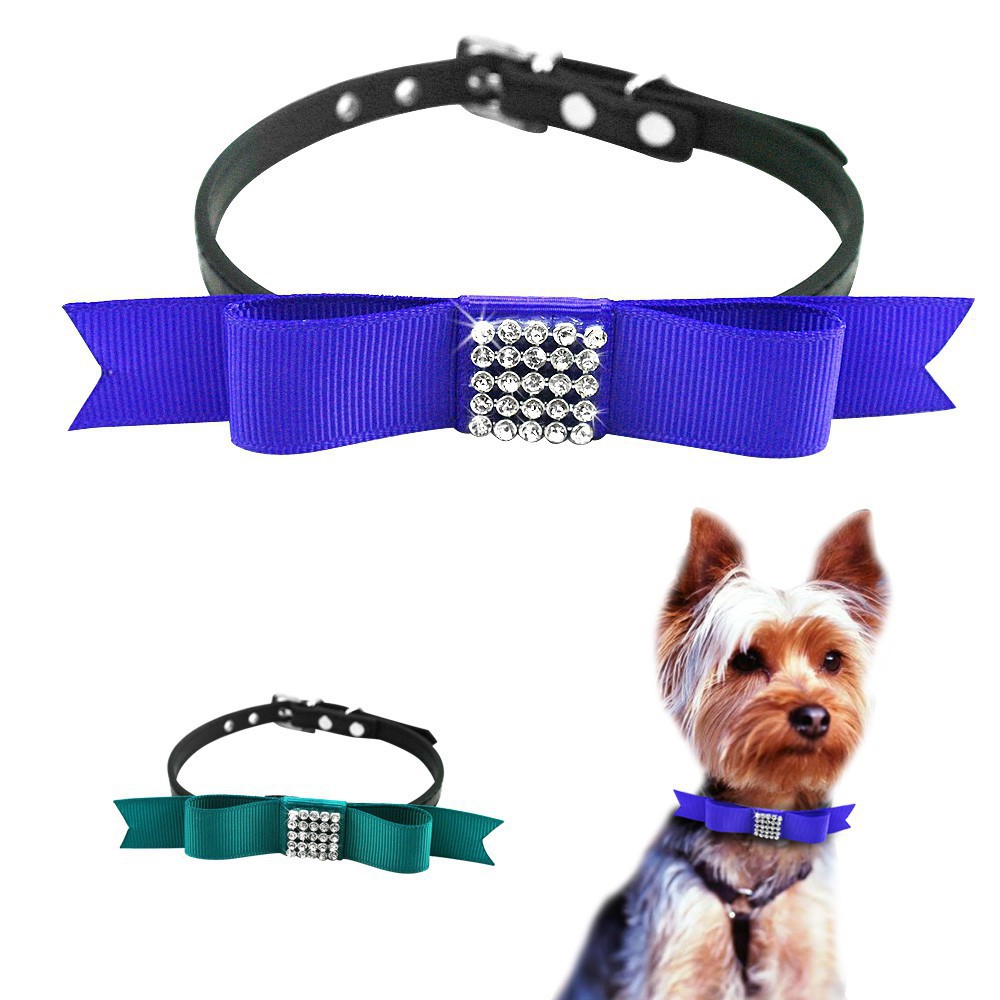 xs dog collar
