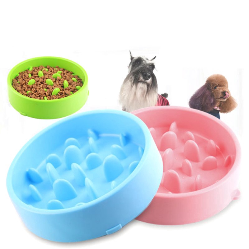 pet puzzle bowl