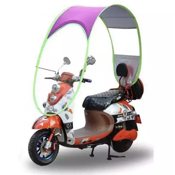 umbrella bike cover