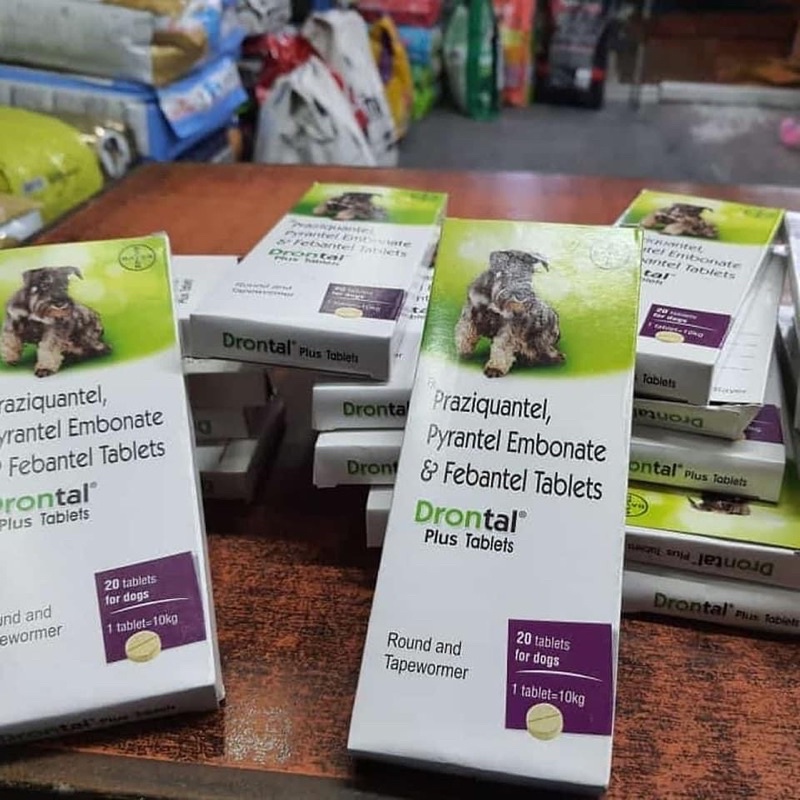 Elanco Drontal Plus Dewormer For Dogs 1 tablet 10kg Shopee Philippines