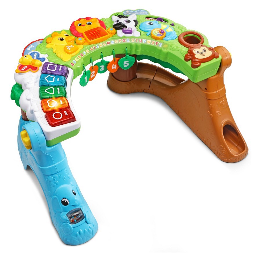 vtech safari learning station