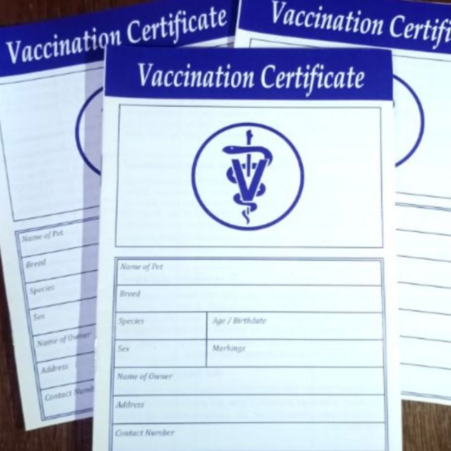 Vaccination Certificate Dog Ubicaciondepersonas cdmx gob mx
