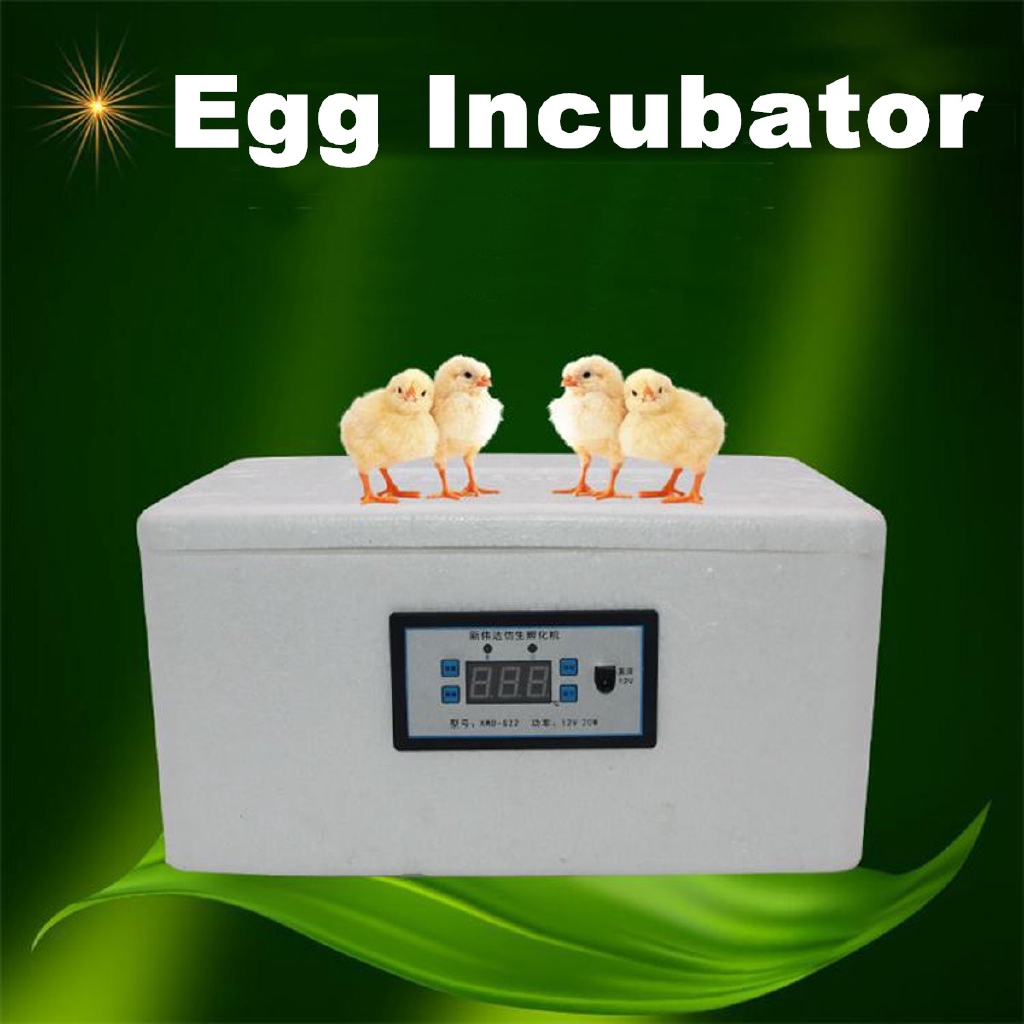 Home Digital Automatic Incubator Chicken Poultry Hatcher 22 | Shopee ...