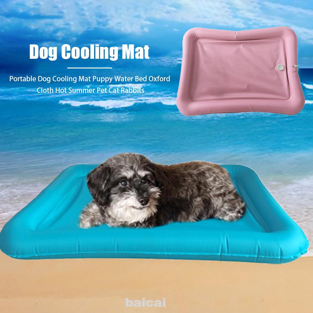 dog water bed