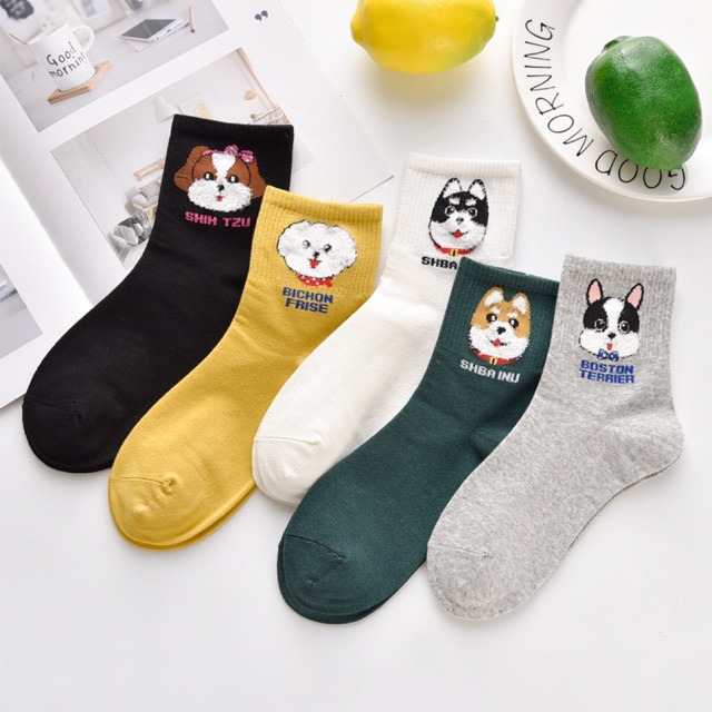 S305 5Pairs Ankle Sock/korean sock/women's Socks/foot cover/cotton ...