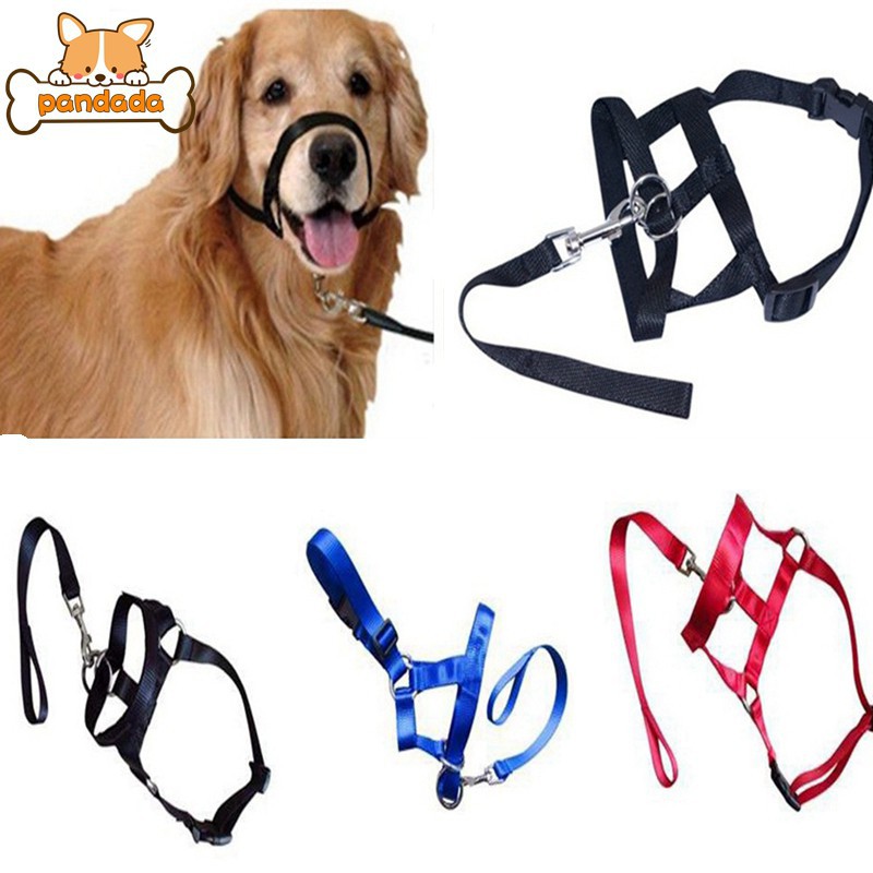 head harness for dogs that pull