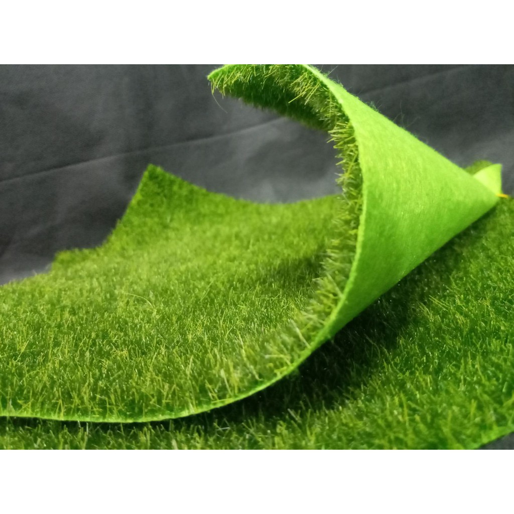 Artificial Bermuda Grass Indoor Mat or Backdrop and Photo shoot