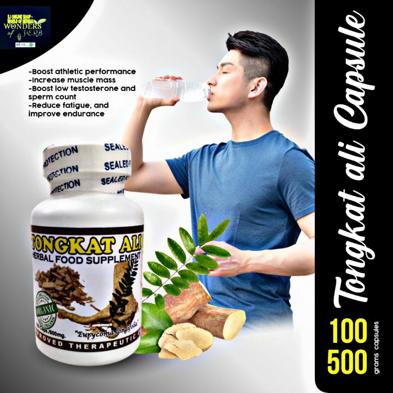 Tongkat ali capsule 500mg/capsule 100 capsule in 1 bottle Shopee
