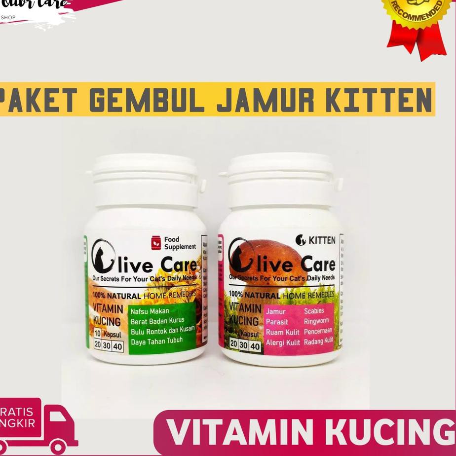 Latest Vitamin Medicine Cat Medicine Gembul Mushroom Kitten Father