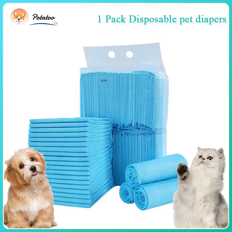 Are Dog Diapers Good For Training