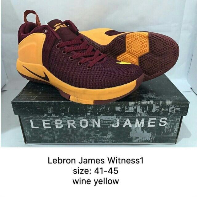 lebron basketball shoes 2018