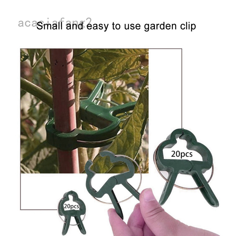 6 6 20 X Garden Plant Clips Seedlings Plants Support Tools Small Large Grow 2 Sizes Shopee Philippines