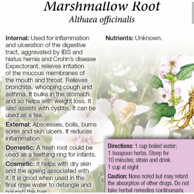 Marshmallow Root Tea 1gx30pcs Tea Bag Expired Jun 2024 Shopee Philippines