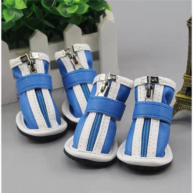 dog shoes shopee